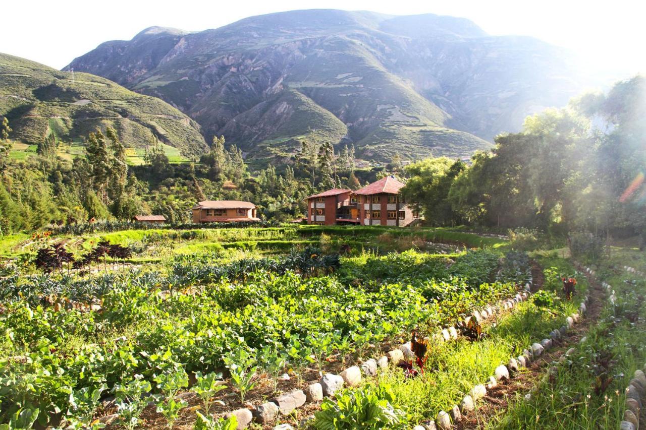 Fleur Lodge Carhuaz Extérieur photo