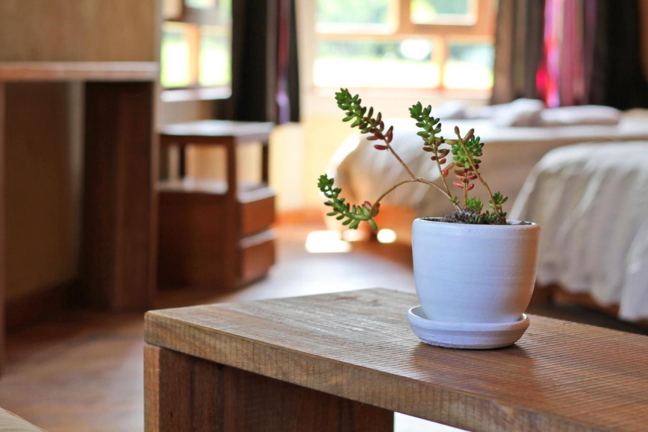 Fleur Lodge Carhuaz Extérieur photo